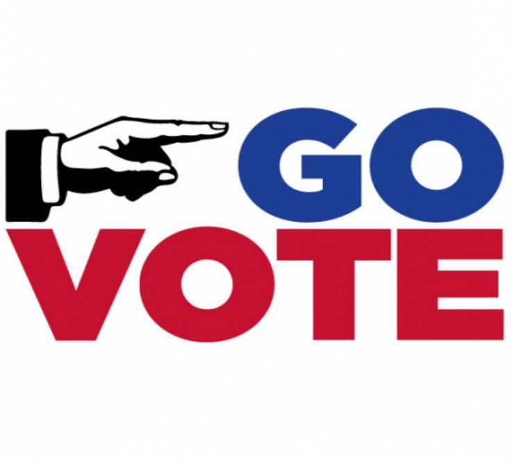 GO VOTE